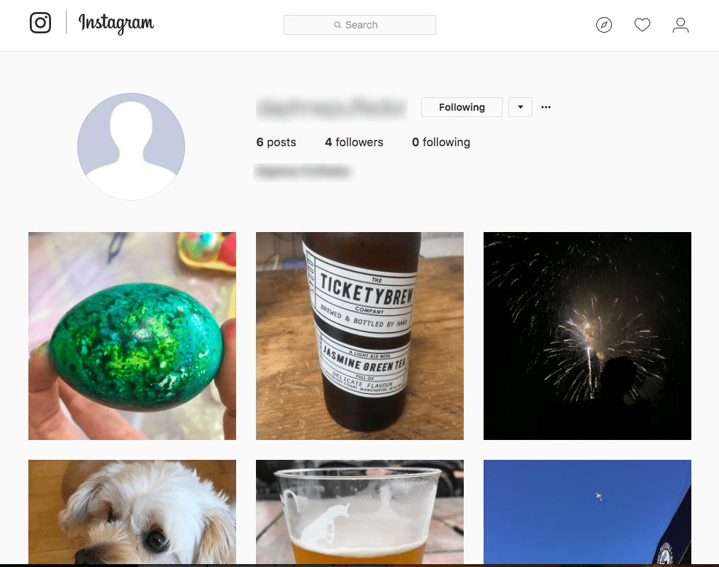 All Of My Instagram Photos Have Disappeared. What Now?