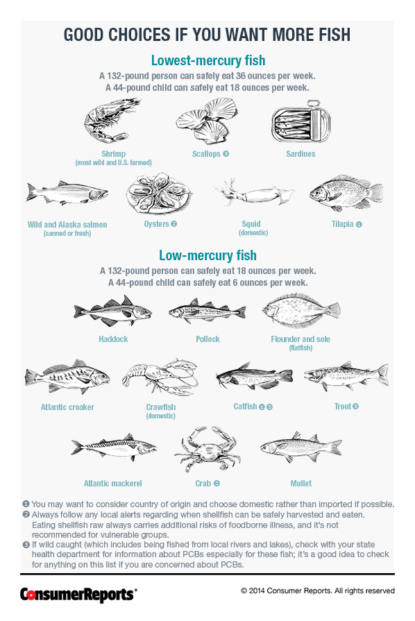 Low Mercury and High Mercury Fishes Consumer Reports