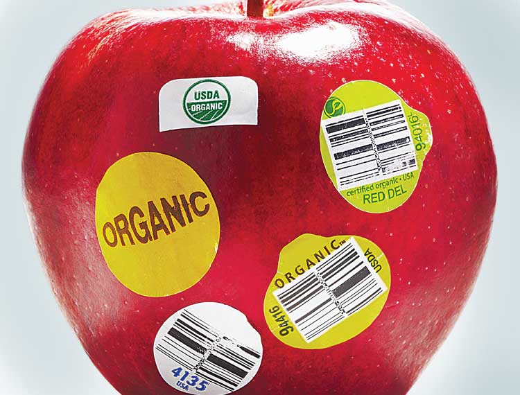 Amateur Engineers Join Consumer Reports >> Food Fights Fouls Victories Consumer Reports Amateur Engineers Join Consumer Reports >> Food Fights Fouls Victories Consumer Reports