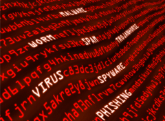 Real images of computer viruses