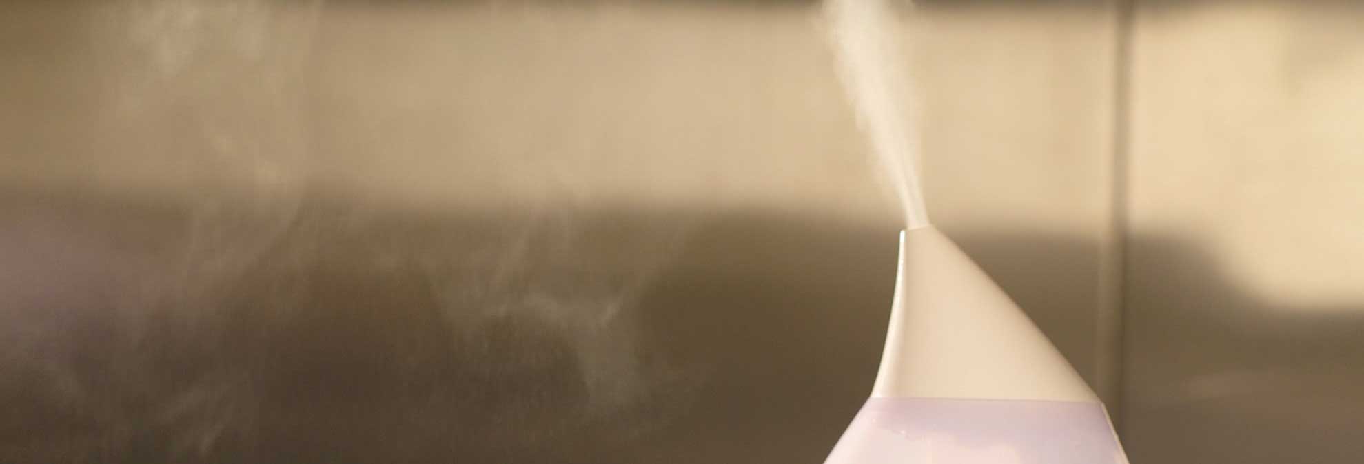 Best Humidifier Buying Guide Consumer Reports