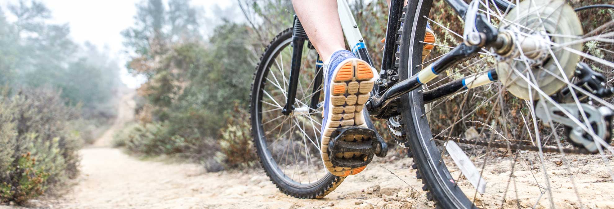 best-bike-buying-guide-consumer-reports