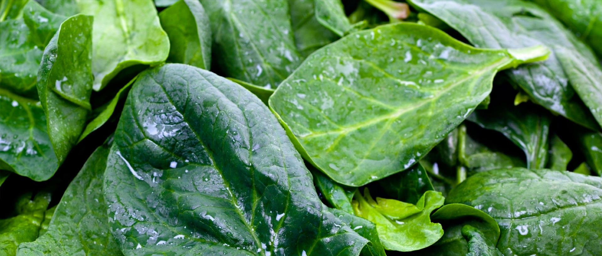 PotassiumRich Foods Consumer Reports