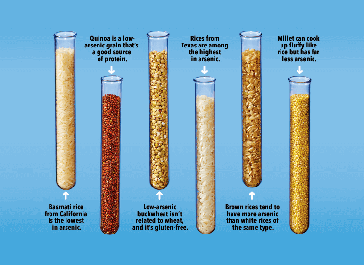 An image of test tubes with different kinds of rice and grains, each labeled with its specific advantages and disadvantages of possible lead contamination.