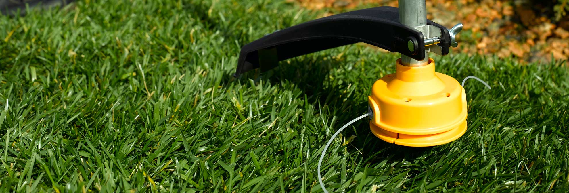 Best String Trimmer Buying Guide Consumer Reports
