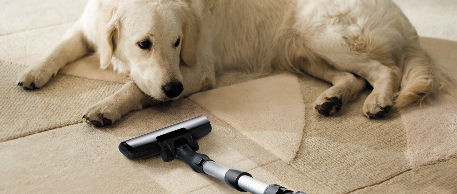 The Best Vacuums Of 2015 Consumer Reports