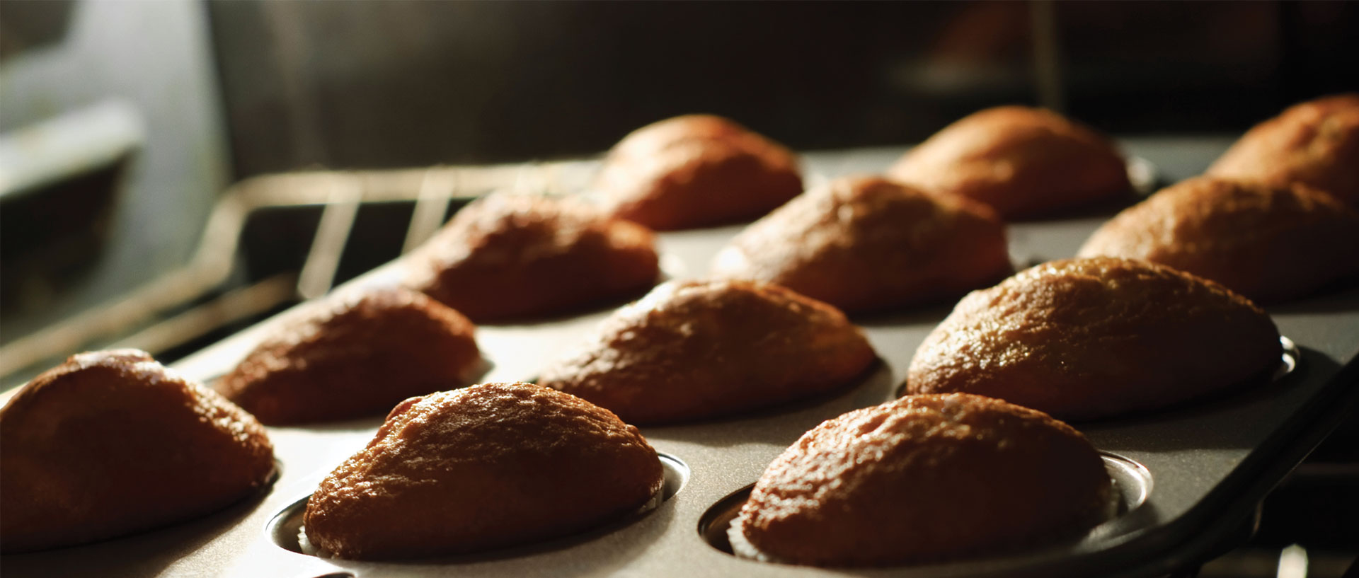 Review of Smeg ProStyle Ranges Consumer Reports