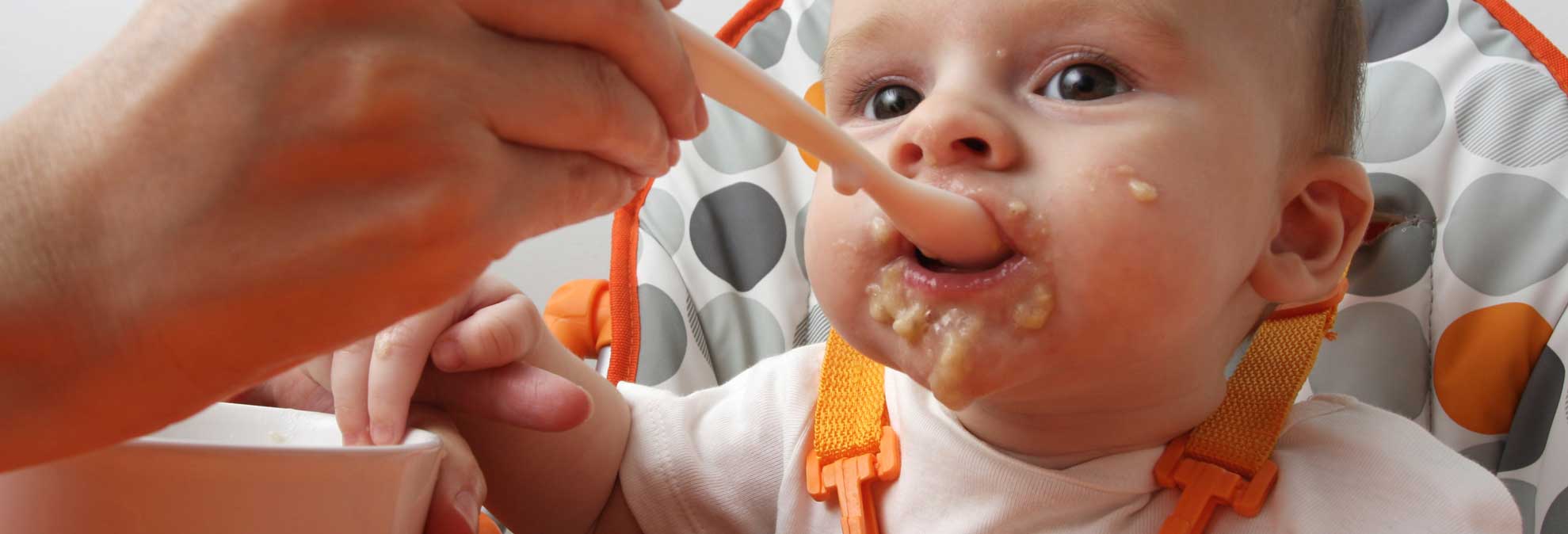 High Chairs That Grow With Your Child Consumer Reports