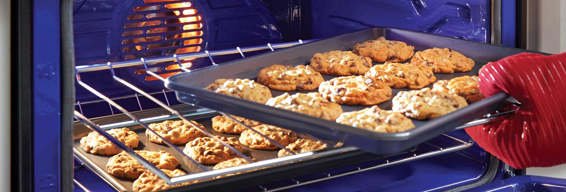 Convection Oven Cooking Tips - Consumer Reports