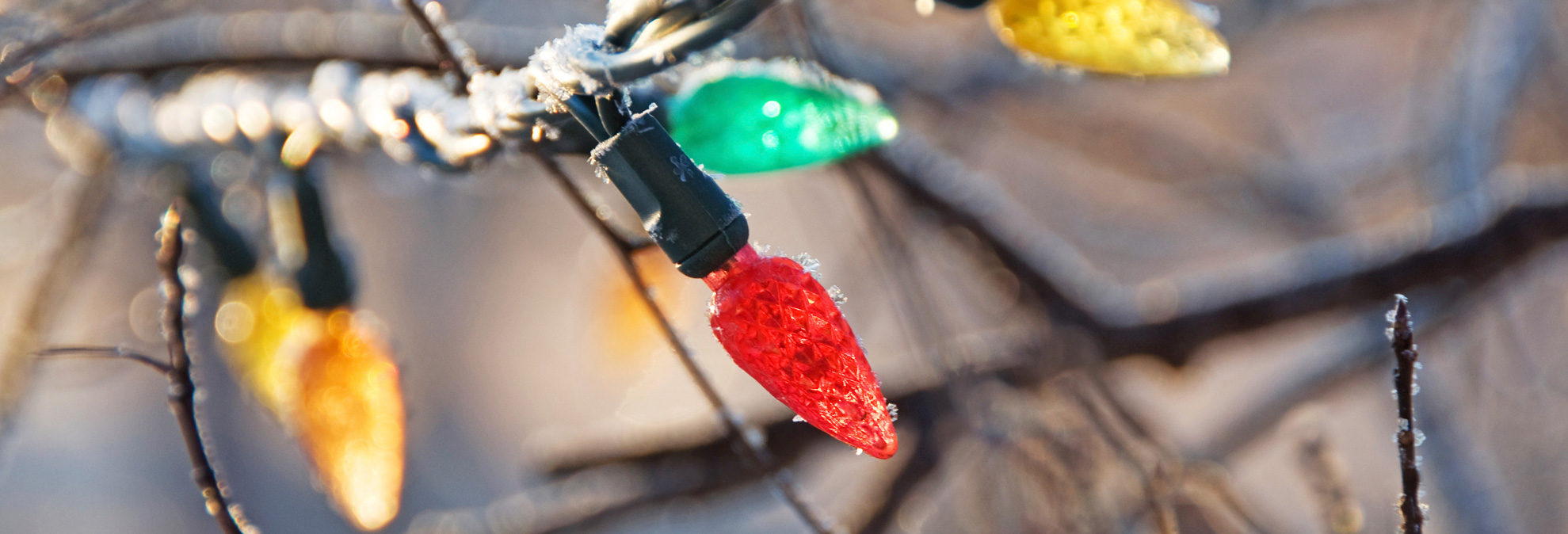 Holiday Lights Deck the Halls With LEDs Consumer Reports