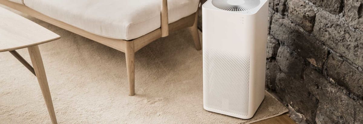 Best Air Purifier Buying Guide - Consumer Reports