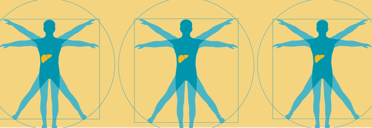 el cuerpo humano 