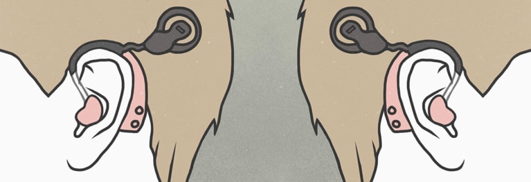 Illustration of a person wearing hearing aids
