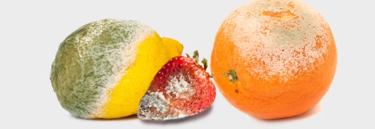 Food recovery pros aim to rescue produce before it goes bad.