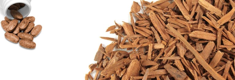 This is a picture of yohimbe dietary supplements next to yohimbe tree bark.